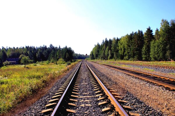 Railway Tracks With Green Forest